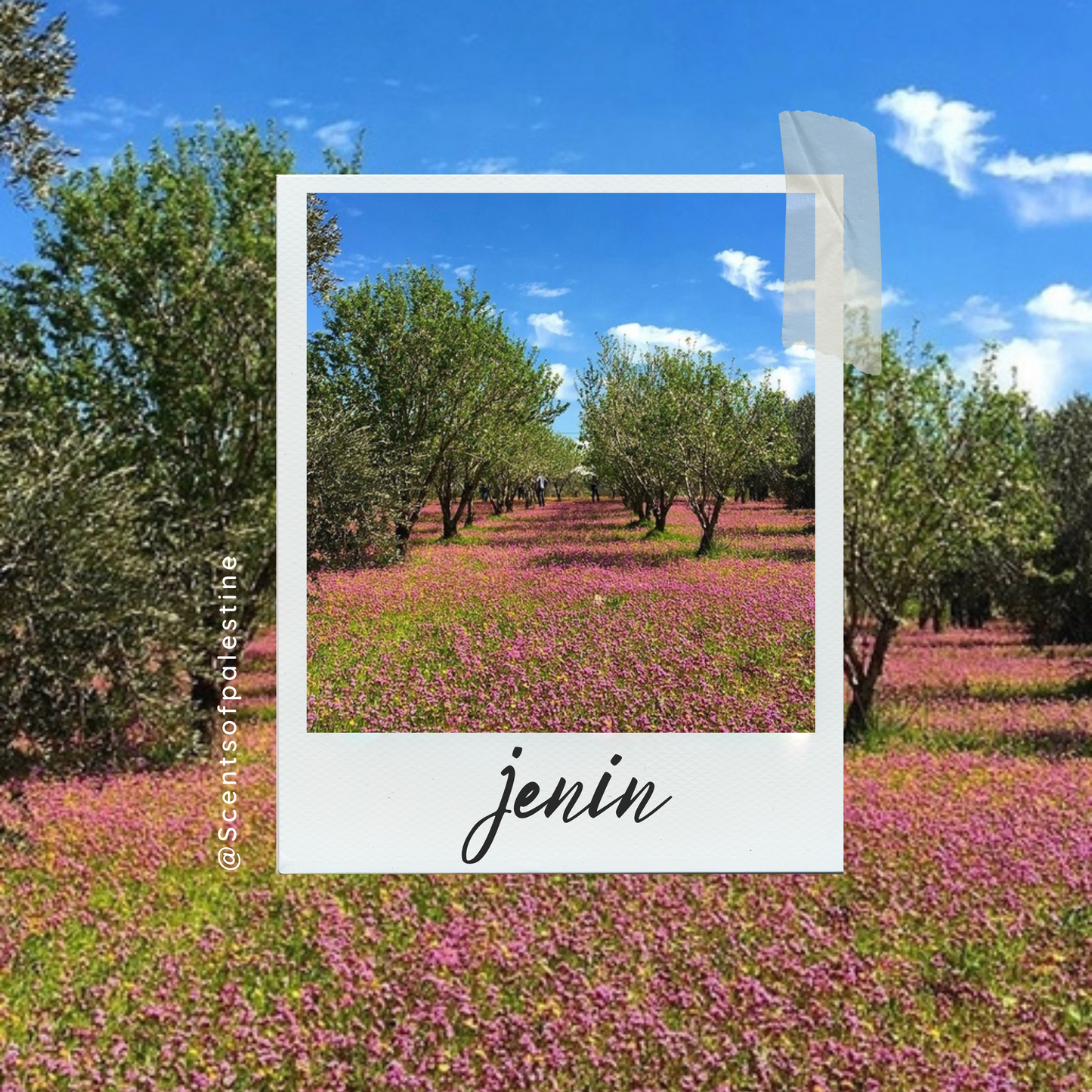 Jenin Map Candle (Vanilla Orchid)