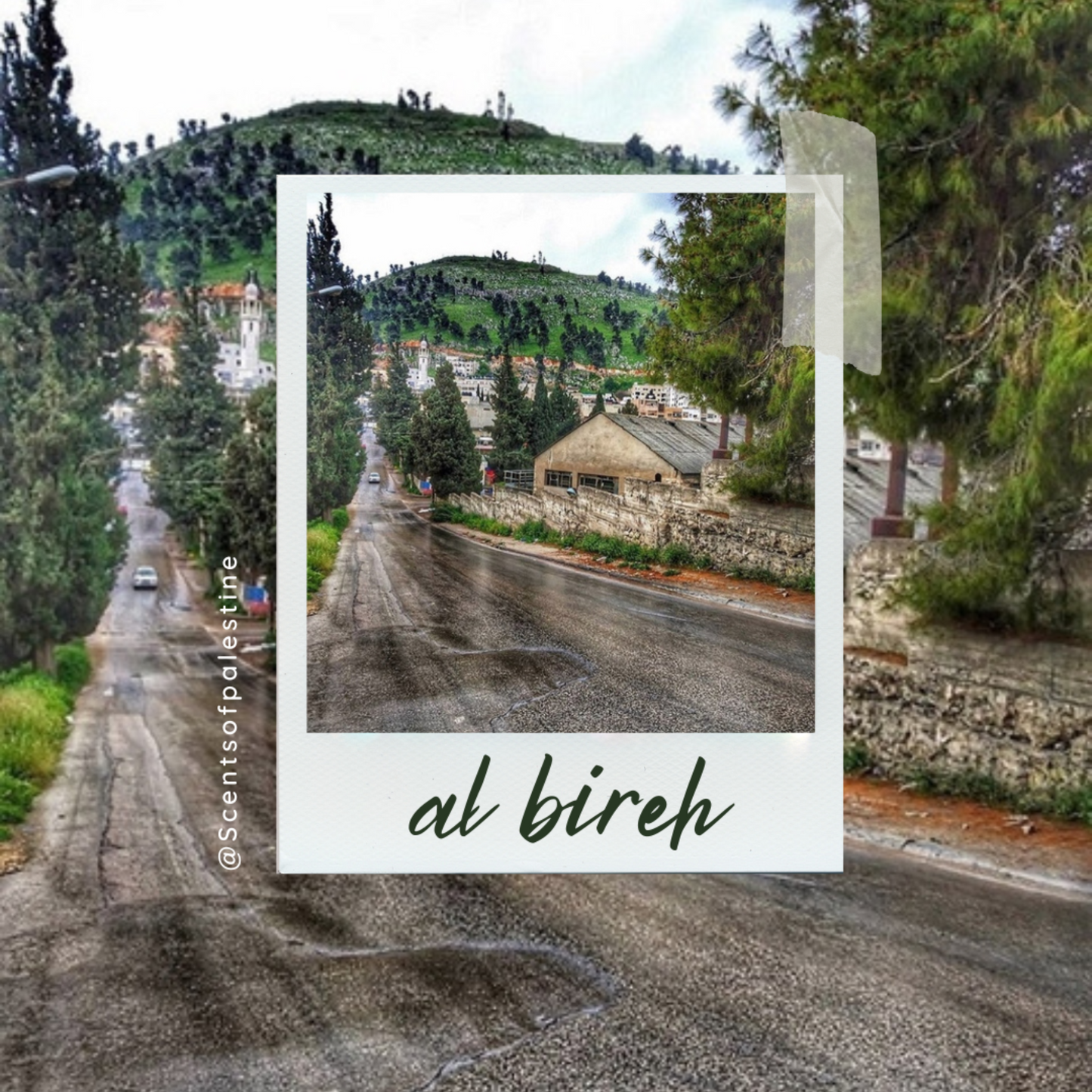 Al Bireh Map Candle (Rain and Angelica)