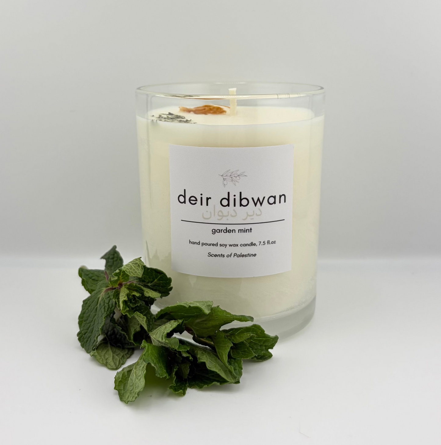 Deir Dibwan- Garden Mint