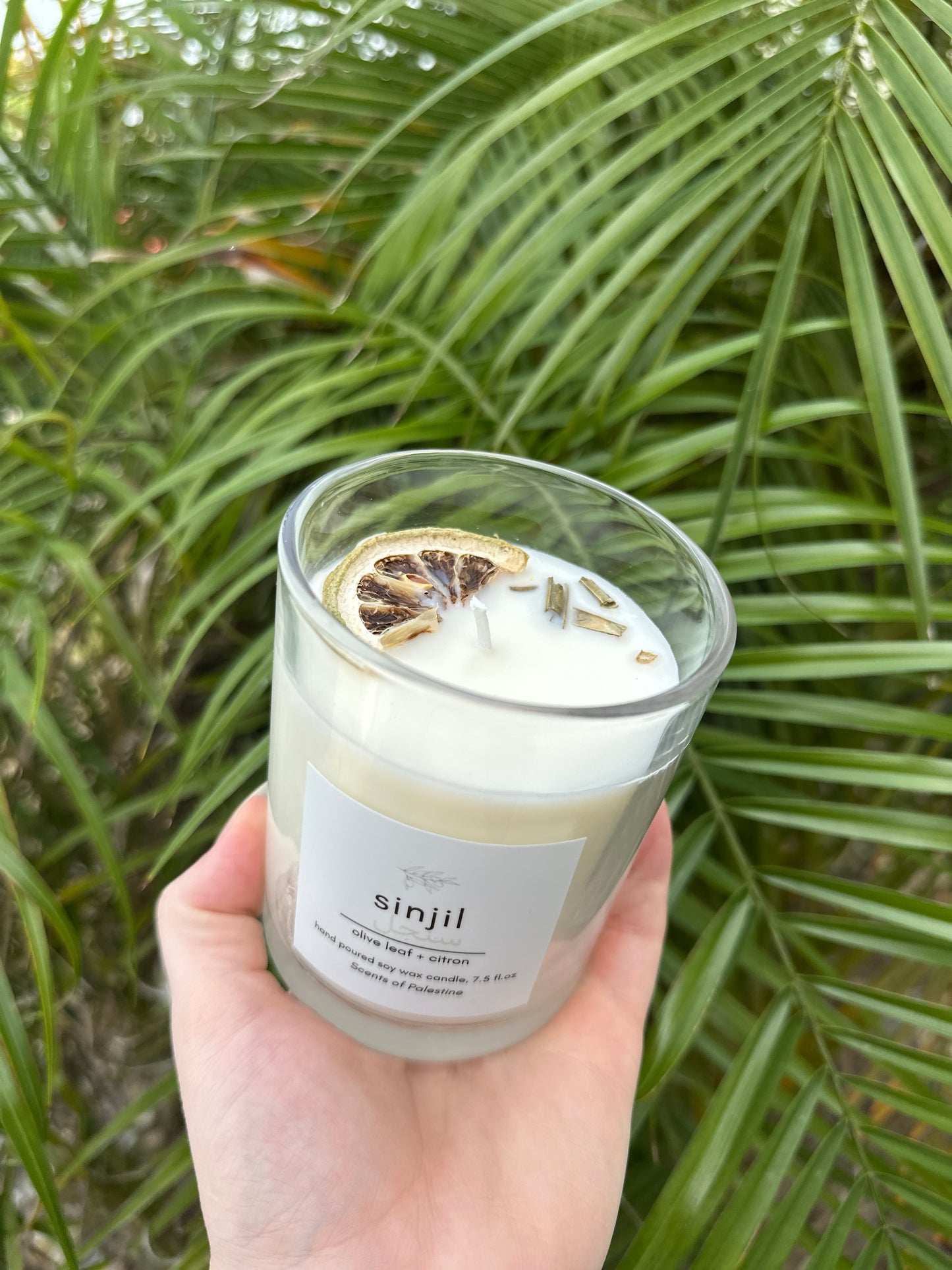 Sinjil Candle- Olive Leaf and Citron