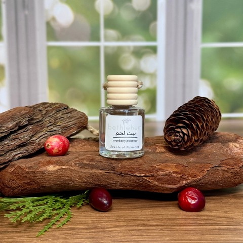 Holiday Car Diffusers