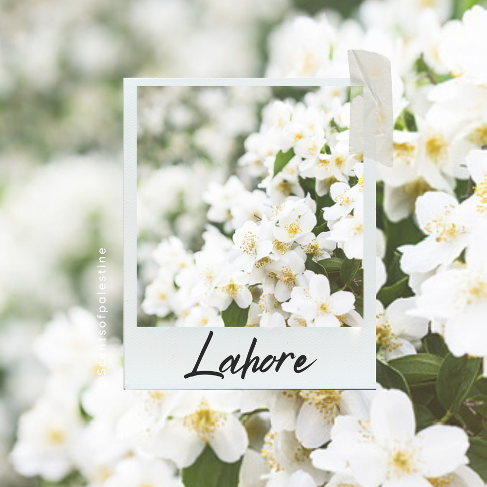 Lahore Candle- Jasmine and Rose
