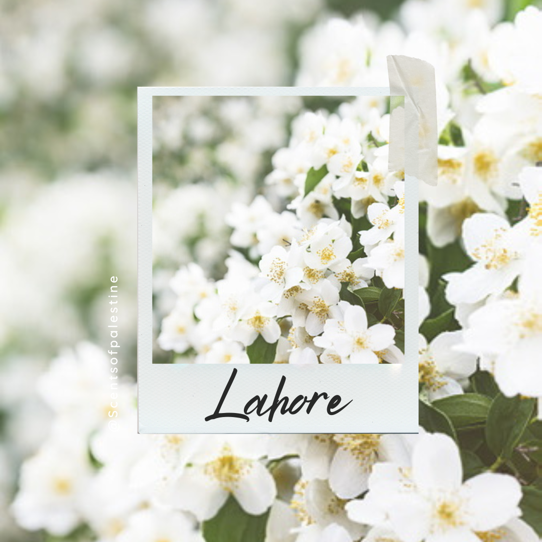 Lahore Candle- Jasmine and Rose