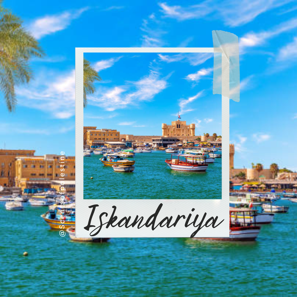 Iskandariya- Sea Salt Agave