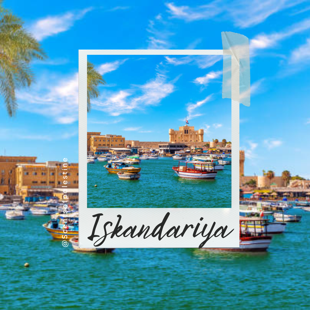 Iskandariya- Sea Salt Agave