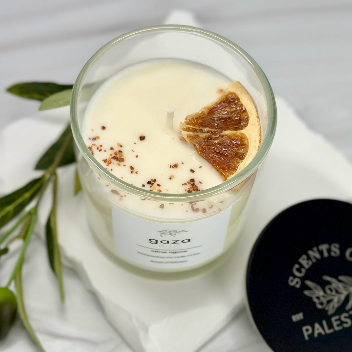 Gaza Candle-Citrus Agave