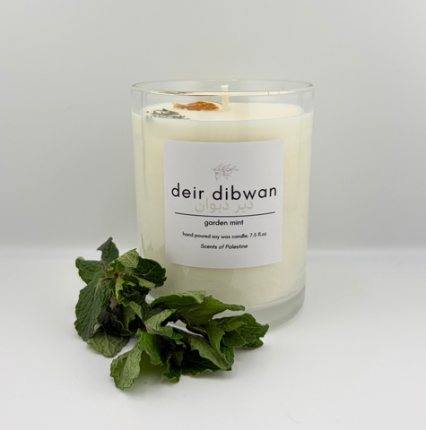 Deir Dibwan- Garden Mint