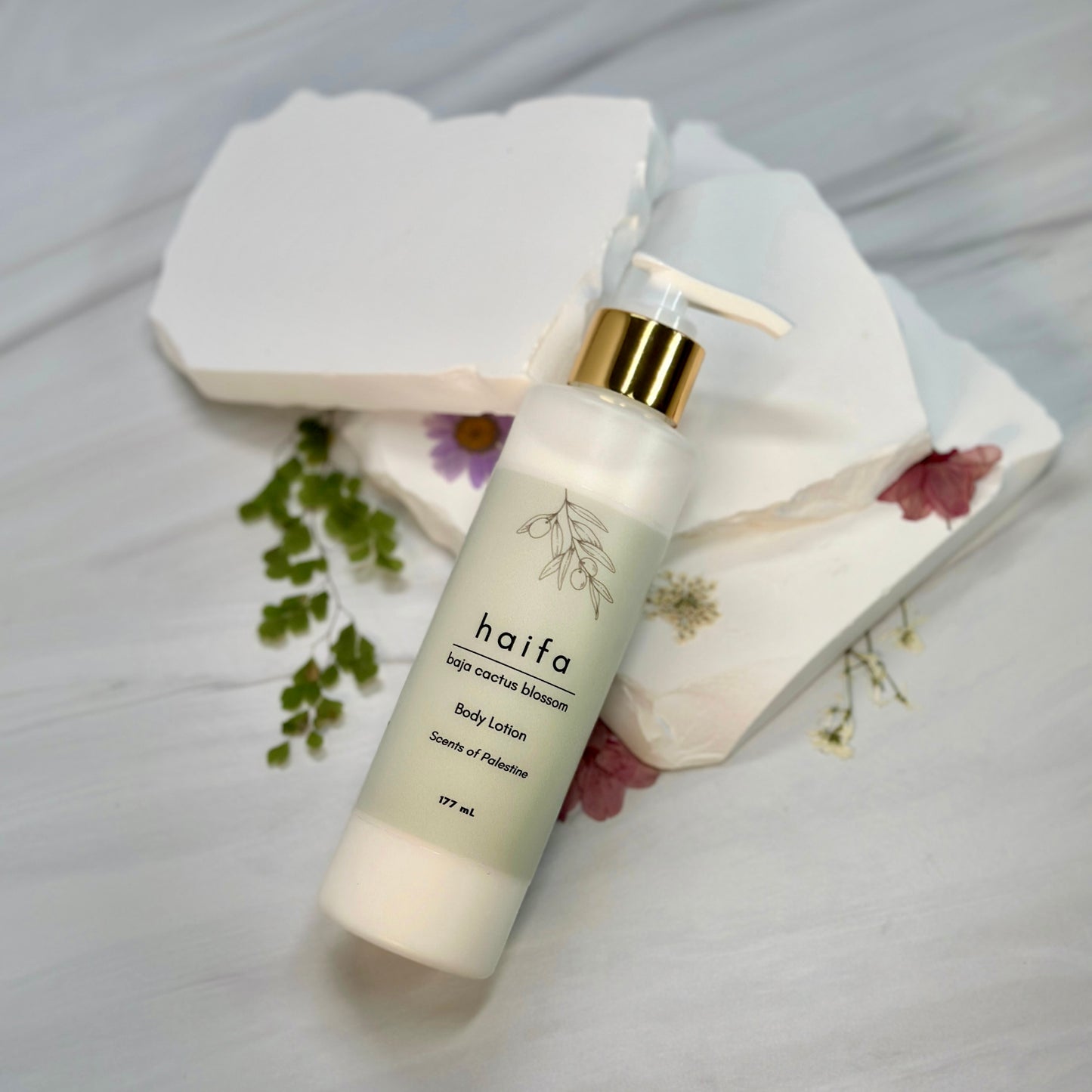 Haifa (Baja Cactus Blossom) Body Lotion