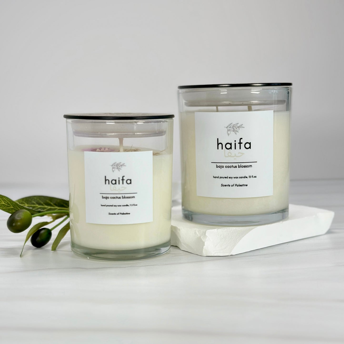 Haifa Candle-Baja Cactus Blossom