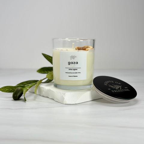 Gaza Candle-Citrus Agave